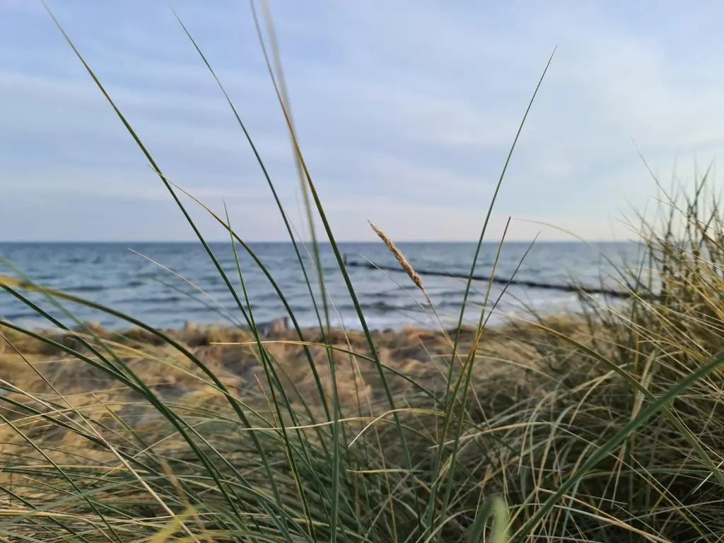 Ihr Ostseedomizil, im Ortskern von Kellenhusen, strandnah und mittendrin