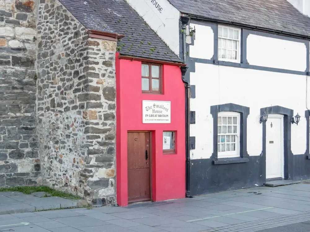 Bron Celyn Bach