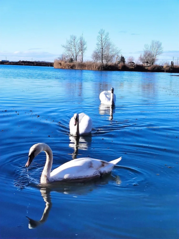 Romantic Lakeside Retreat - Nature, Sport, Near Bp