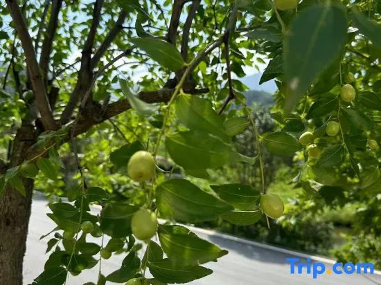 Tiantangzhai Yuexia Mountain Residence courtyard Guesthouse