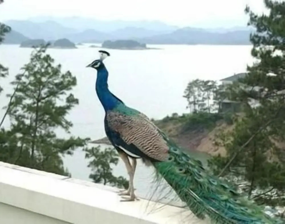 New Century Resort Qiandao Lake Hangzhou