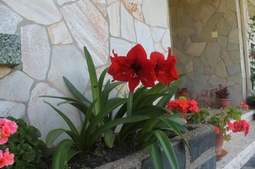 Pension Riego de Ambros