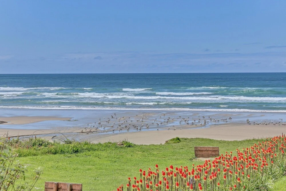 Starr Seaside