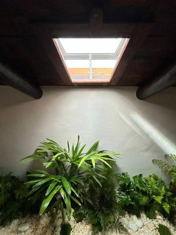 Casa Do Avo Zezinho
