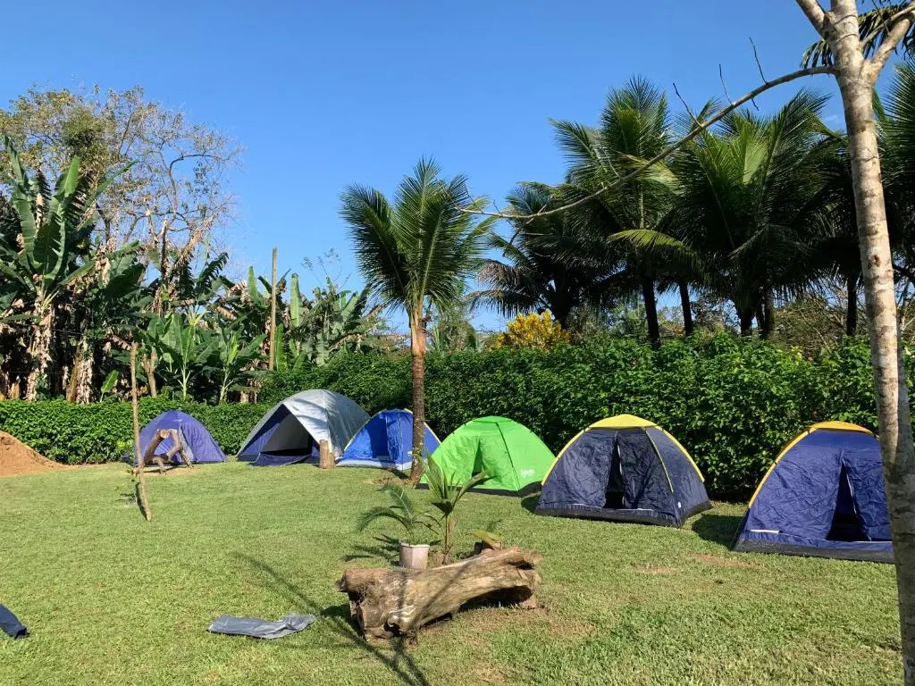 Flora Hostel & Camping Praia do Sono