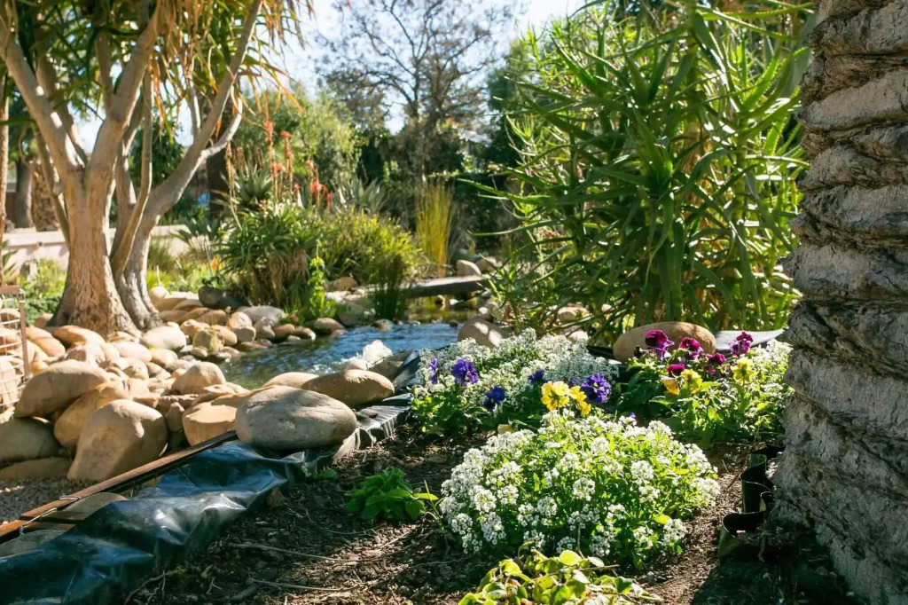 Aloe Manor