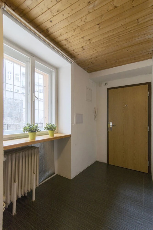 Spacious apartment near Wenceslas Square