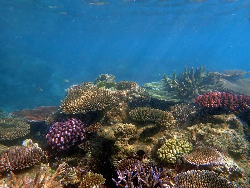 Teouma Reef Resort