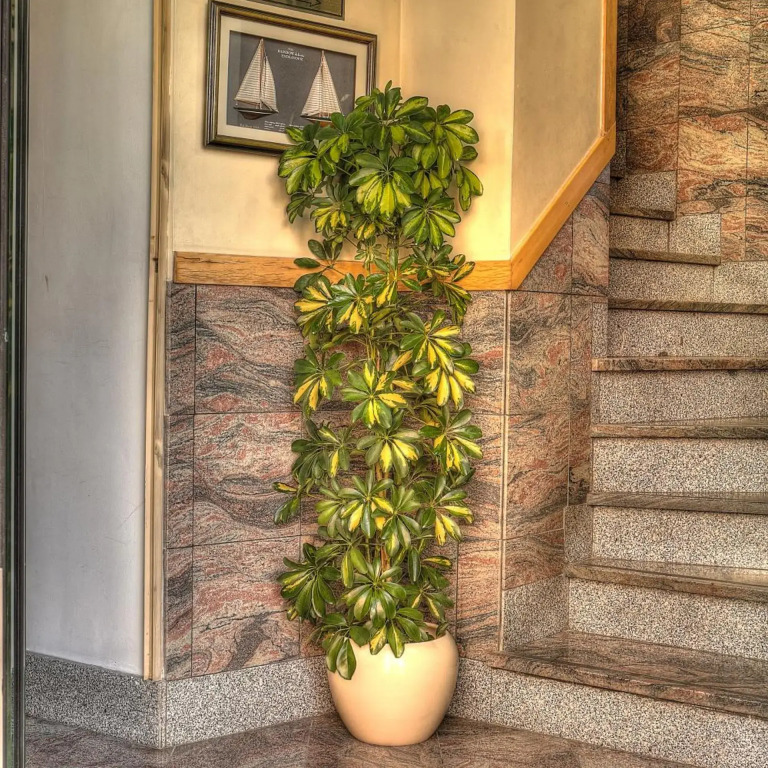 Real Caparica Hotel