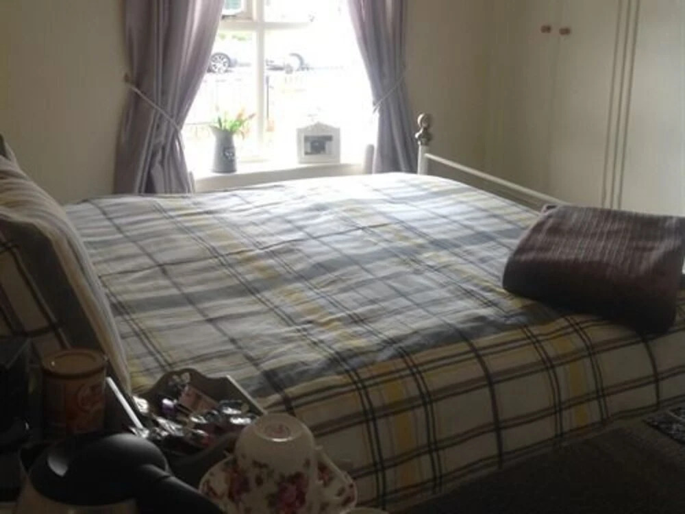 Lillys Pad