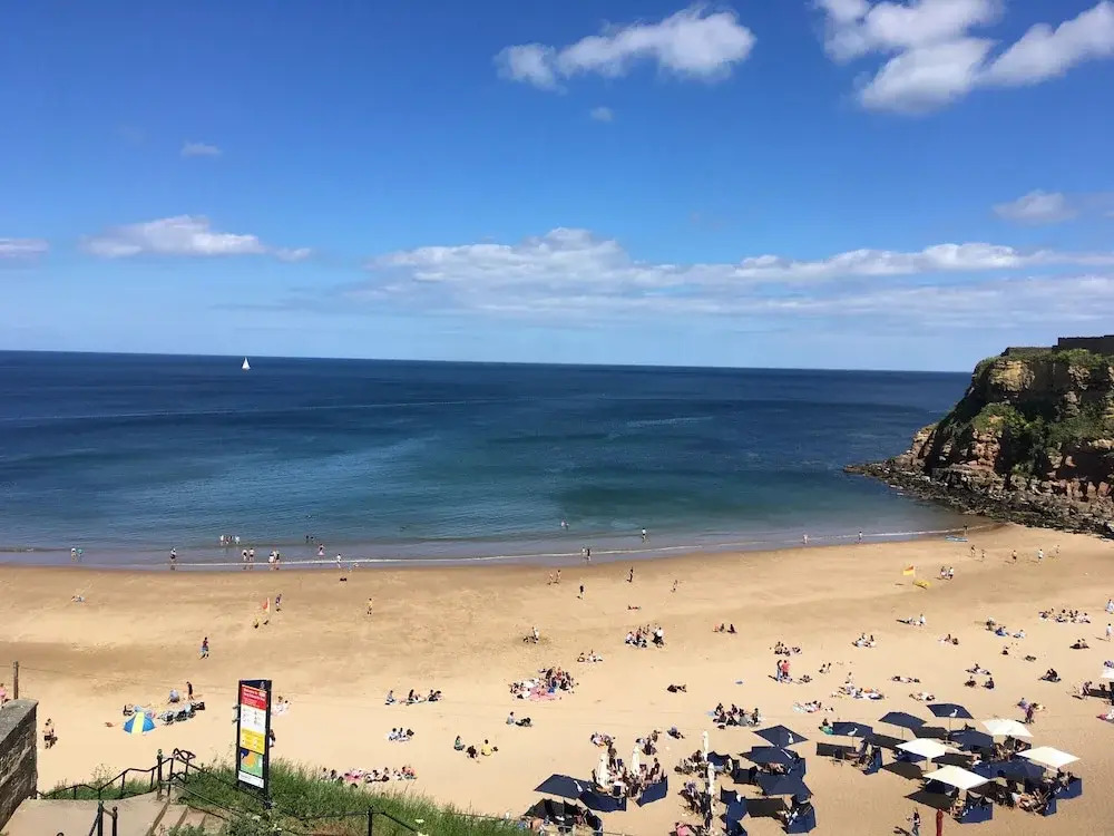 Limpet Lodge