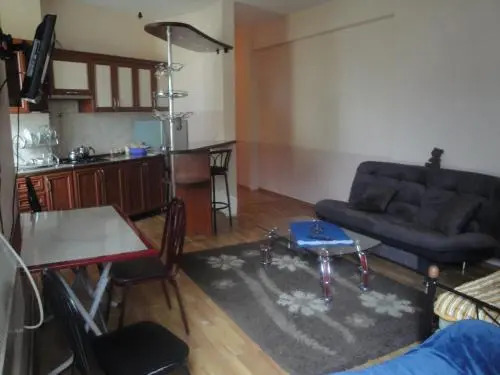 House Agmashenebeli Street 318