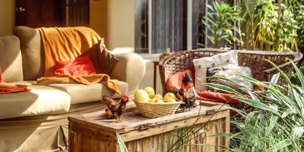 Addo Self Catering