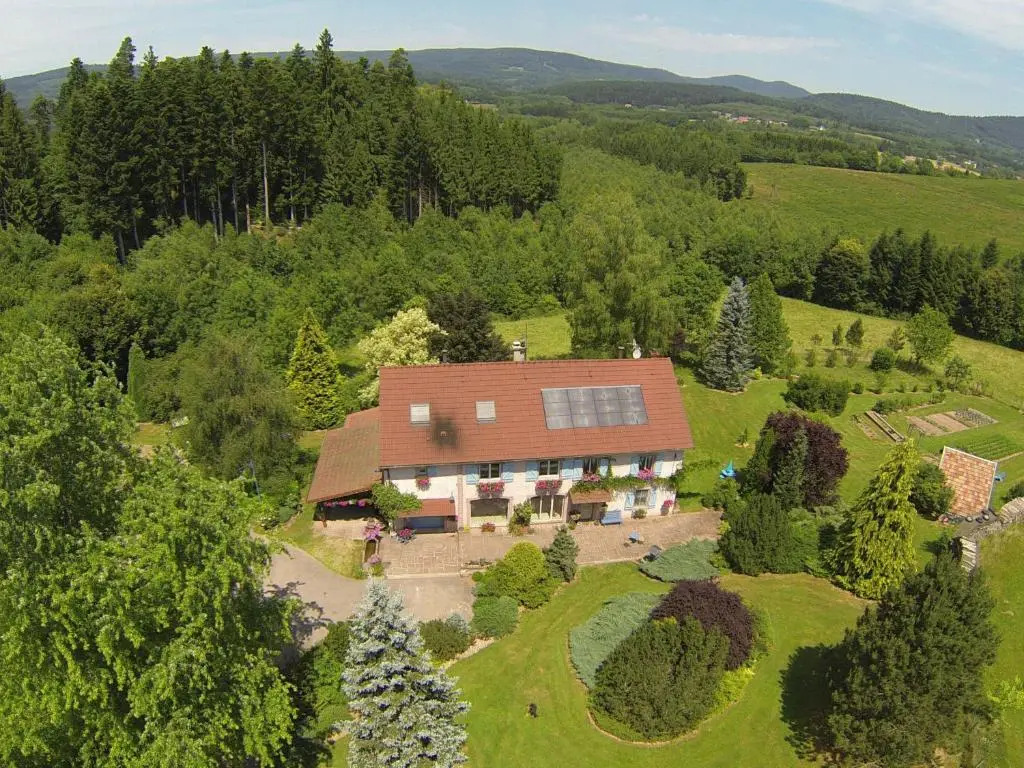 Gîte chaleureux à Provenchères-sur-Fave, nature et confort - FR-1-589-224