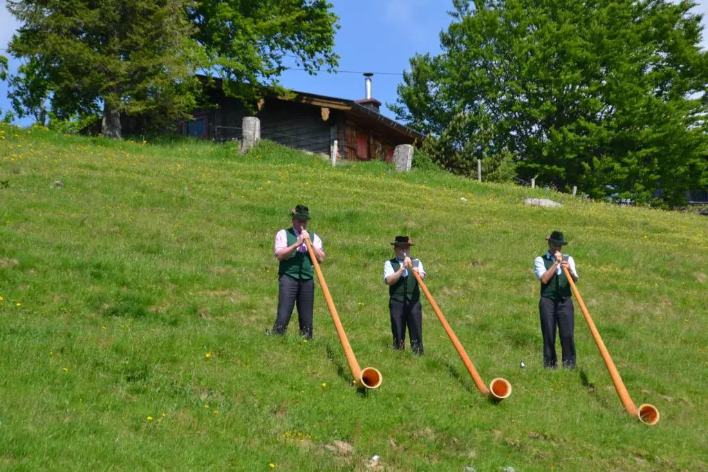 Winklmoos SonnenAlm