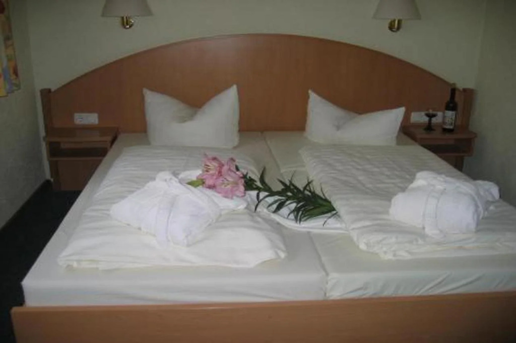 Hotel Goldener Karpfen