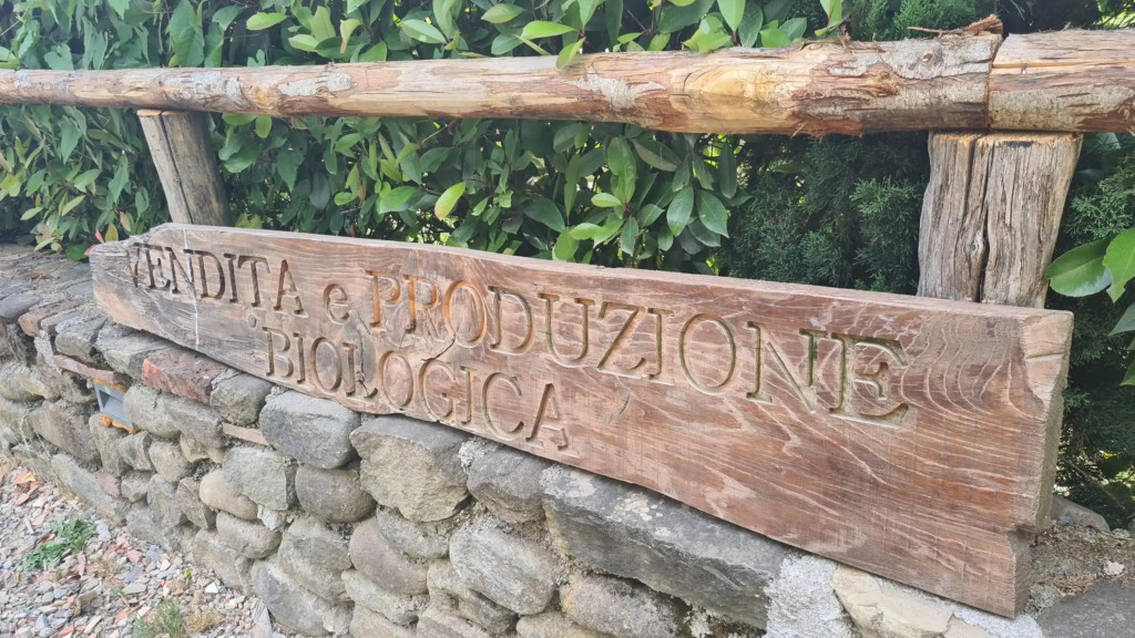 Podere Malnido