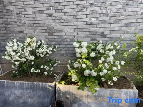 Yanshe residence in Beijing (Hongluo Temple Store in Huairou)