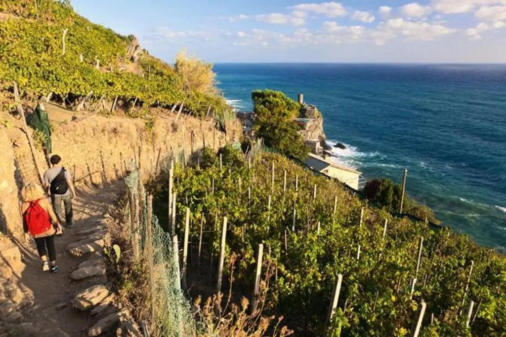 Cantina del Pescatore