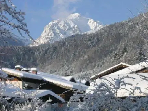Der Steinweidenhof