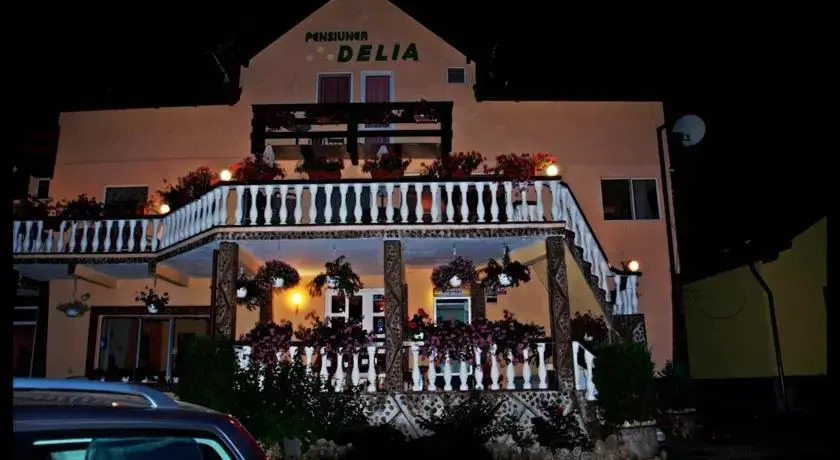 Pensiunea Delia