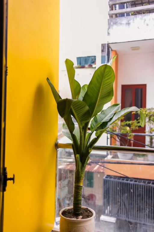 ComCC Hostel And Coffee