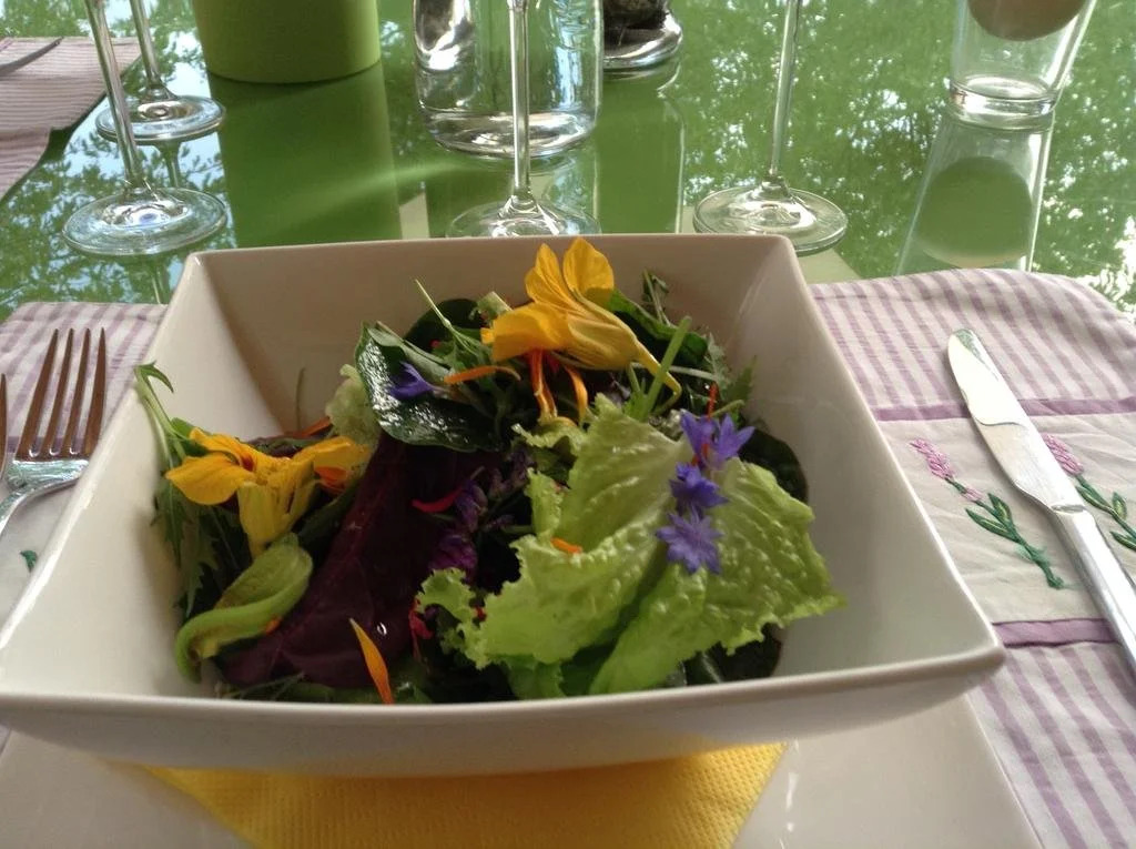 Veganer Gasthof zum Ederplan