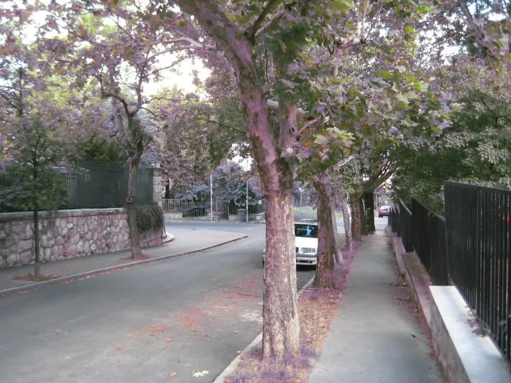 Platán apartman