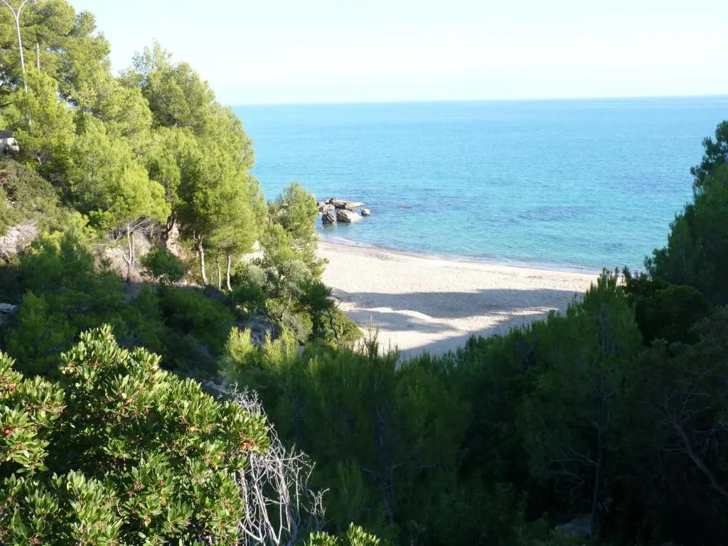Joyapartments Gavina d'or