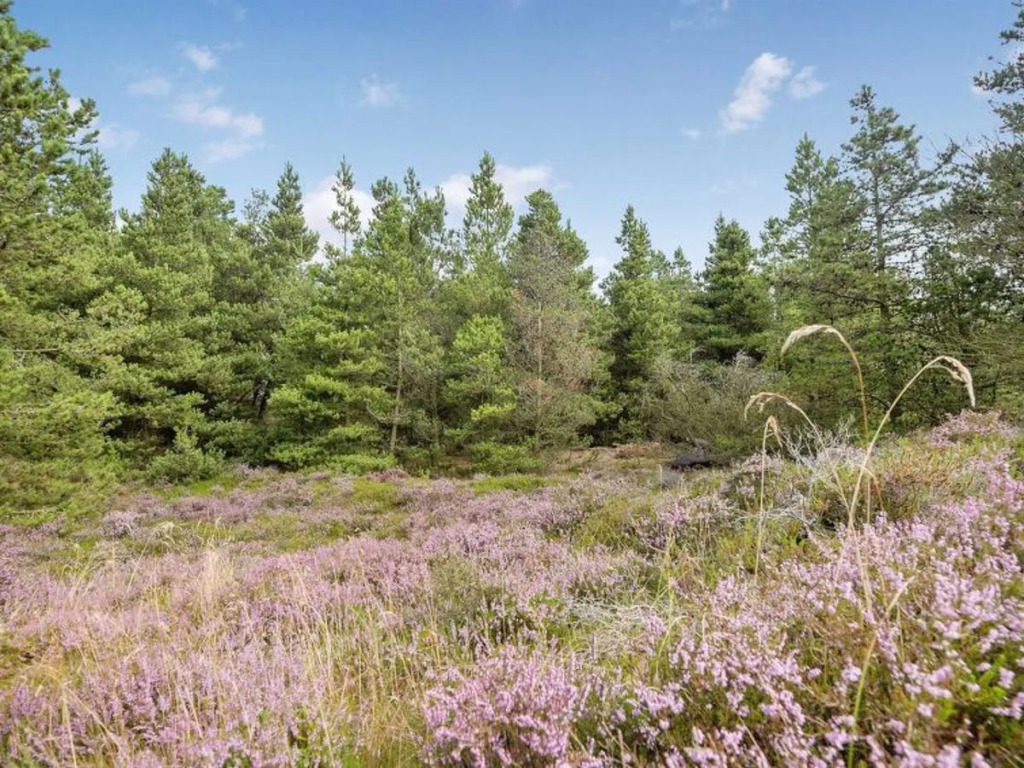 "Cholena" - 2.5km from the sea in Western Jutland