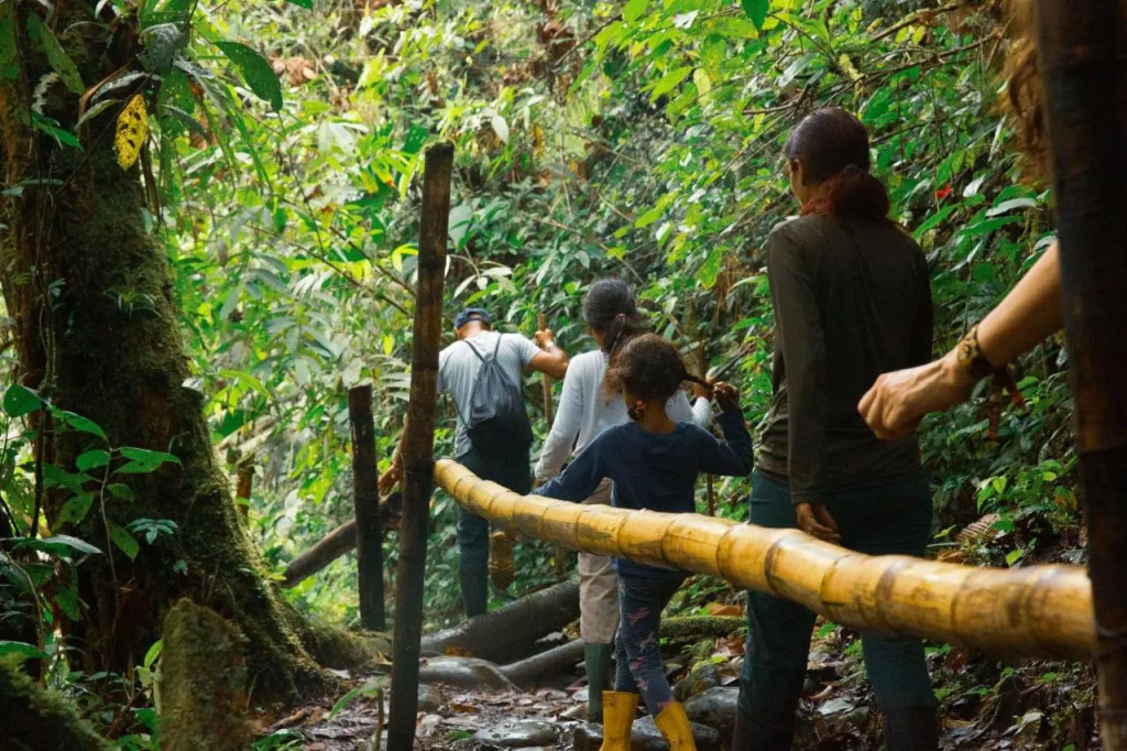 Cotococha Lodge