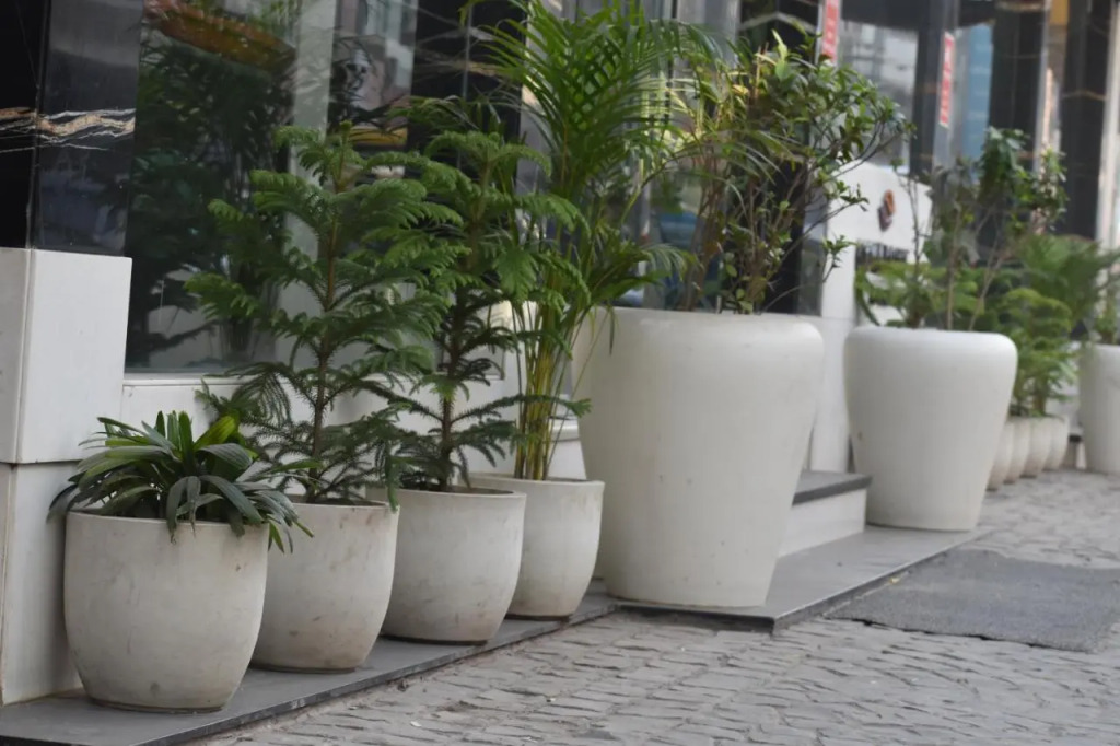 HOTEL GODWIN DELUXE NEAR CONNAUGHT PLACE Offers FREE AIRPORT PICKUP