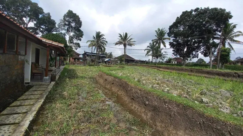 Rumah Kemuning Bali