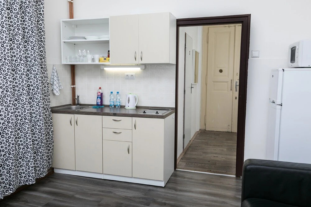 Welcome Apartment on V Tunich