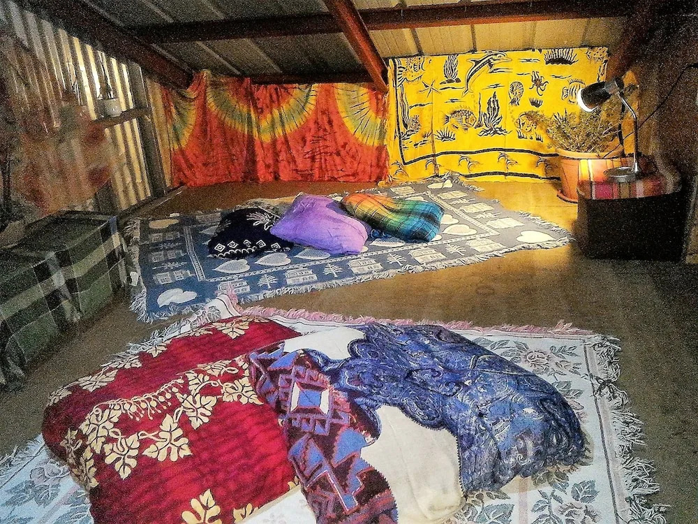 Tribuhaus Backpackers Inn