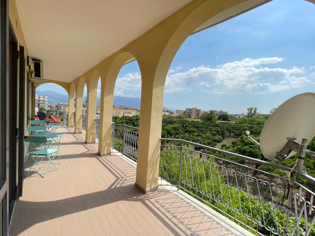 Vesuvius garden
