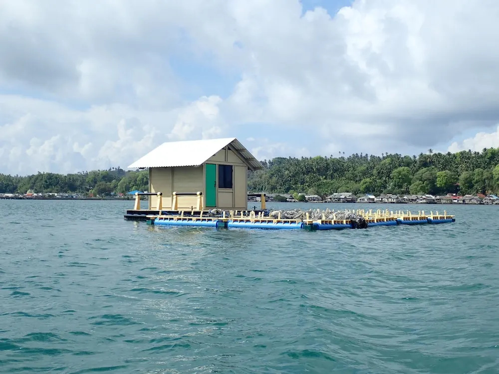 Hoga Island Dive Resort