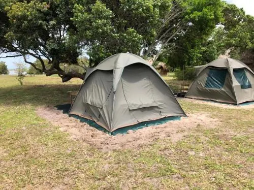 Manico Camp