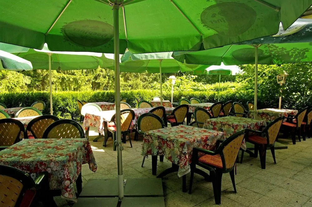 Logis Hôtel Auberge De La Foret