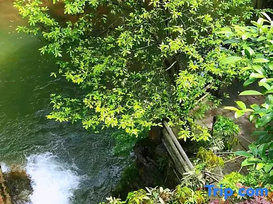 Qingcheng Mountain Wild Resort