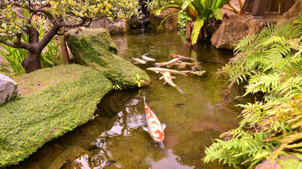 Nago Business Hotel