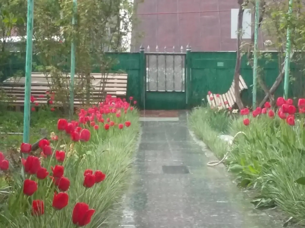 Guesthouse on Gorgasali Street 11