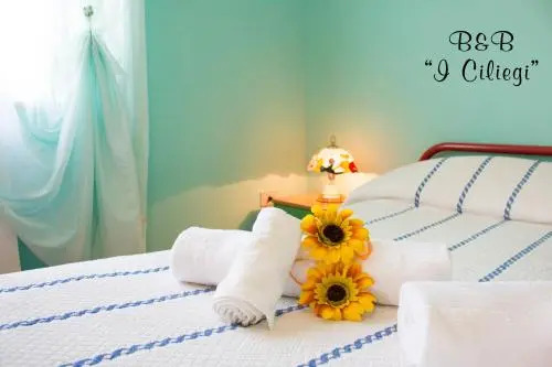 B&B I Ciliegi
