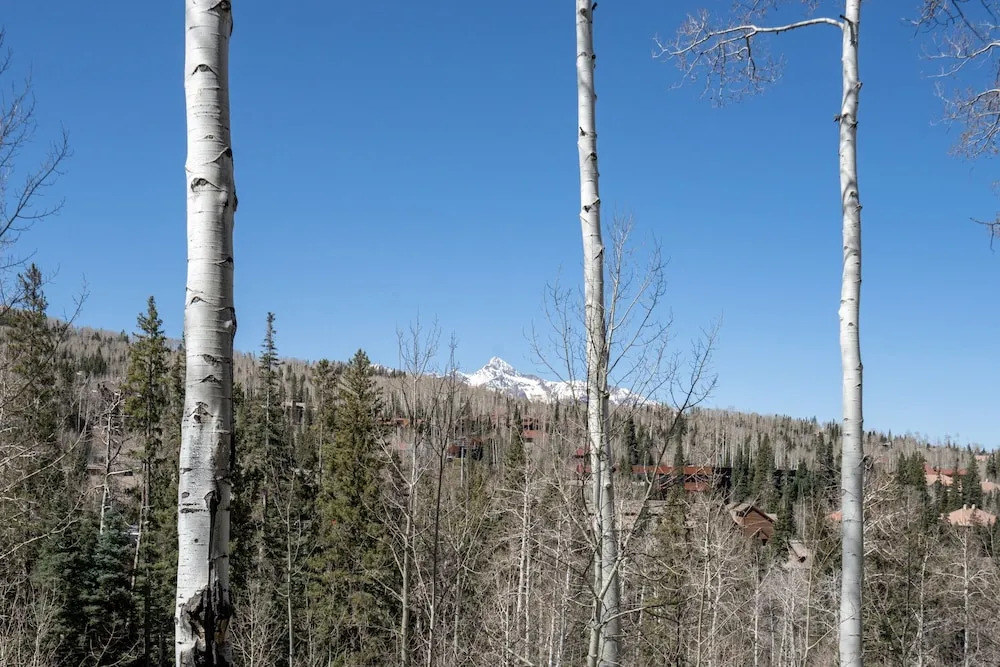 Aspen Ridge 2 by Alpine Lodging Telluride