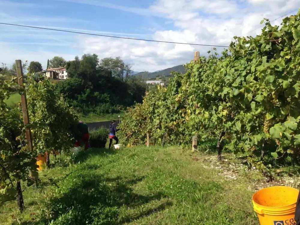 Agriturismo La Vigna di Sarah