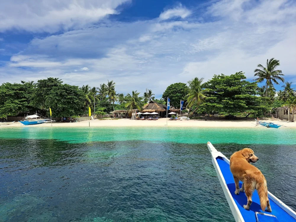 Avilas Horizon Dive Resort Malapascua