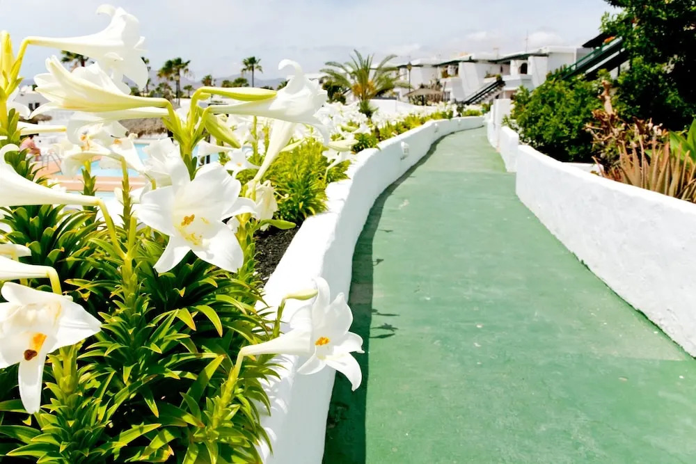 Apartment With 2 Bedrooms in Puerto del Carmen, With Wonderful sea Vie