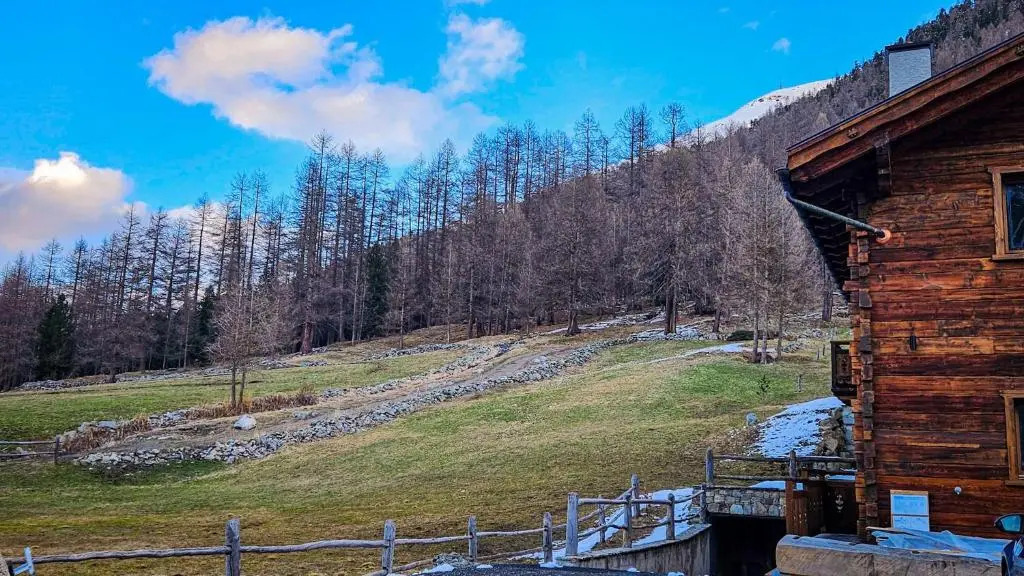 Agriturismo Bosco d'oro 2