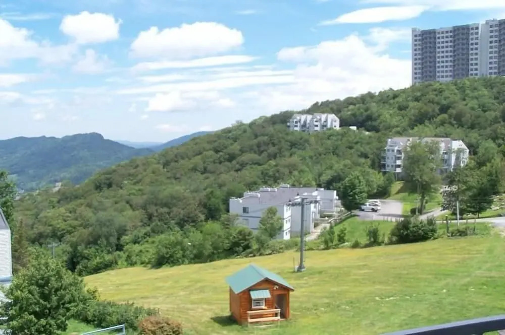 Sugar Ski & Country Club Unit 334 Silver