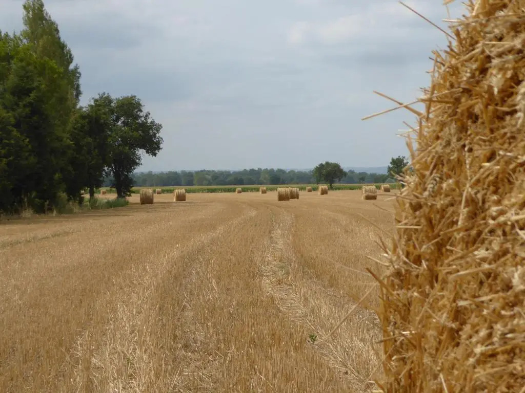 La Madinerie